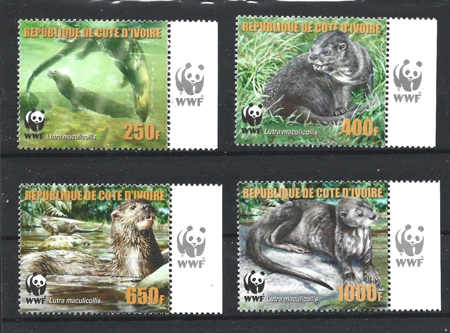 IVORY COAST WWF LUTRA MACULICOLLIS 2005