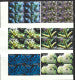 TUVALU CORALS COMPLETE SET BLOCKS OF FOUR 2006