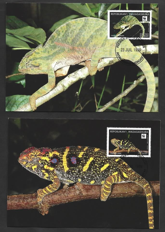 MADAGASCAR LIZARDS WWF FIRST DAY MAXIM CARD SET