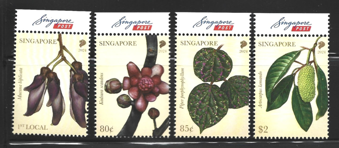 Singapore Flora of Lowland Dipterocarp Forests