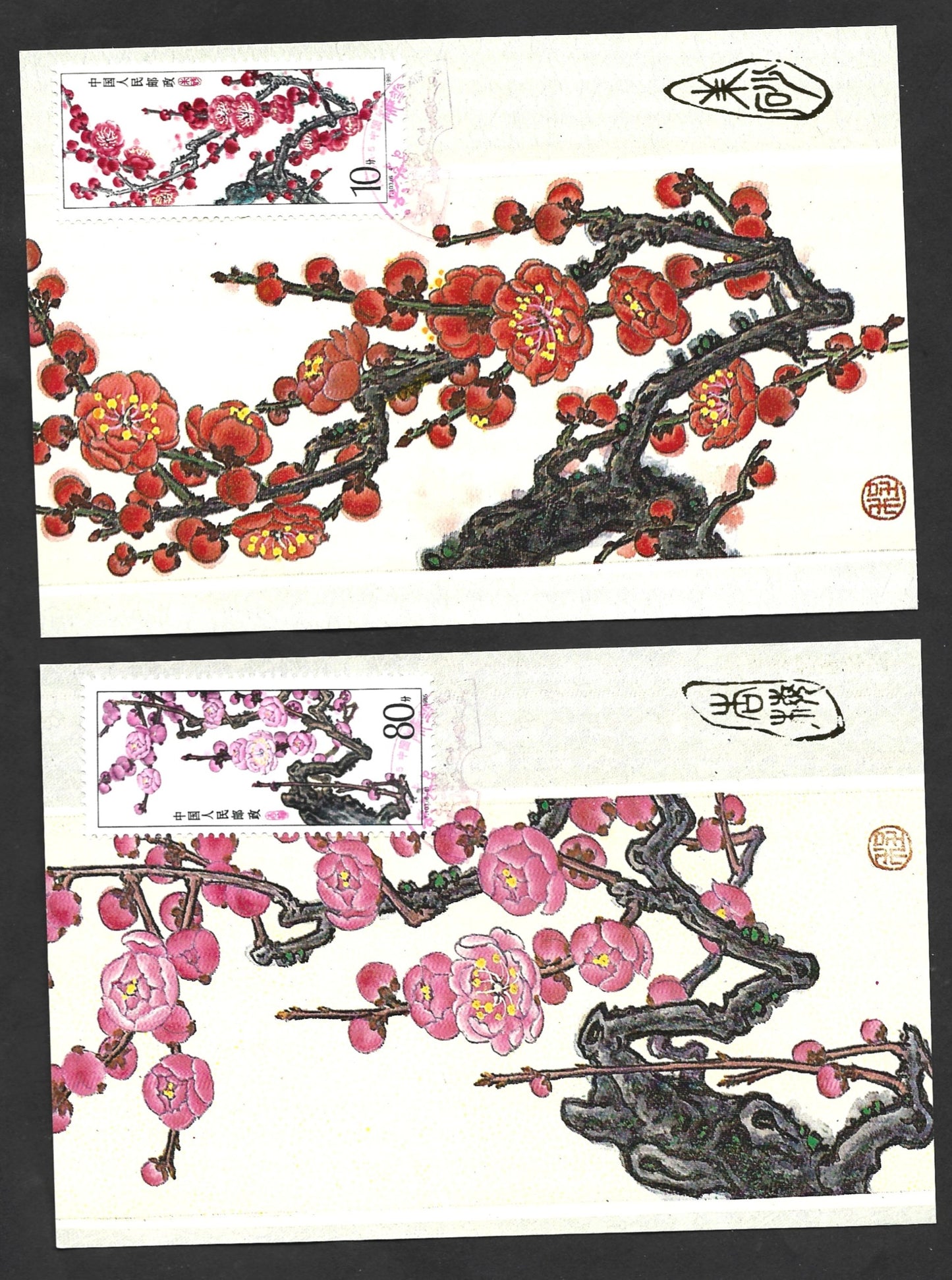 CHINA Apricot, Plum Blossom 6 Maxim Cards with folder