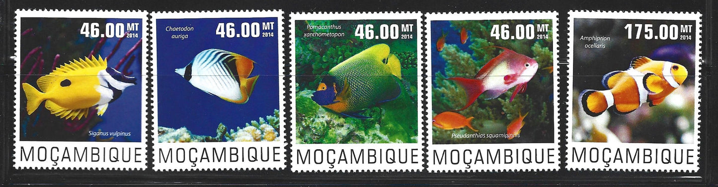 MOCAMBIQUE FISH SET 2014