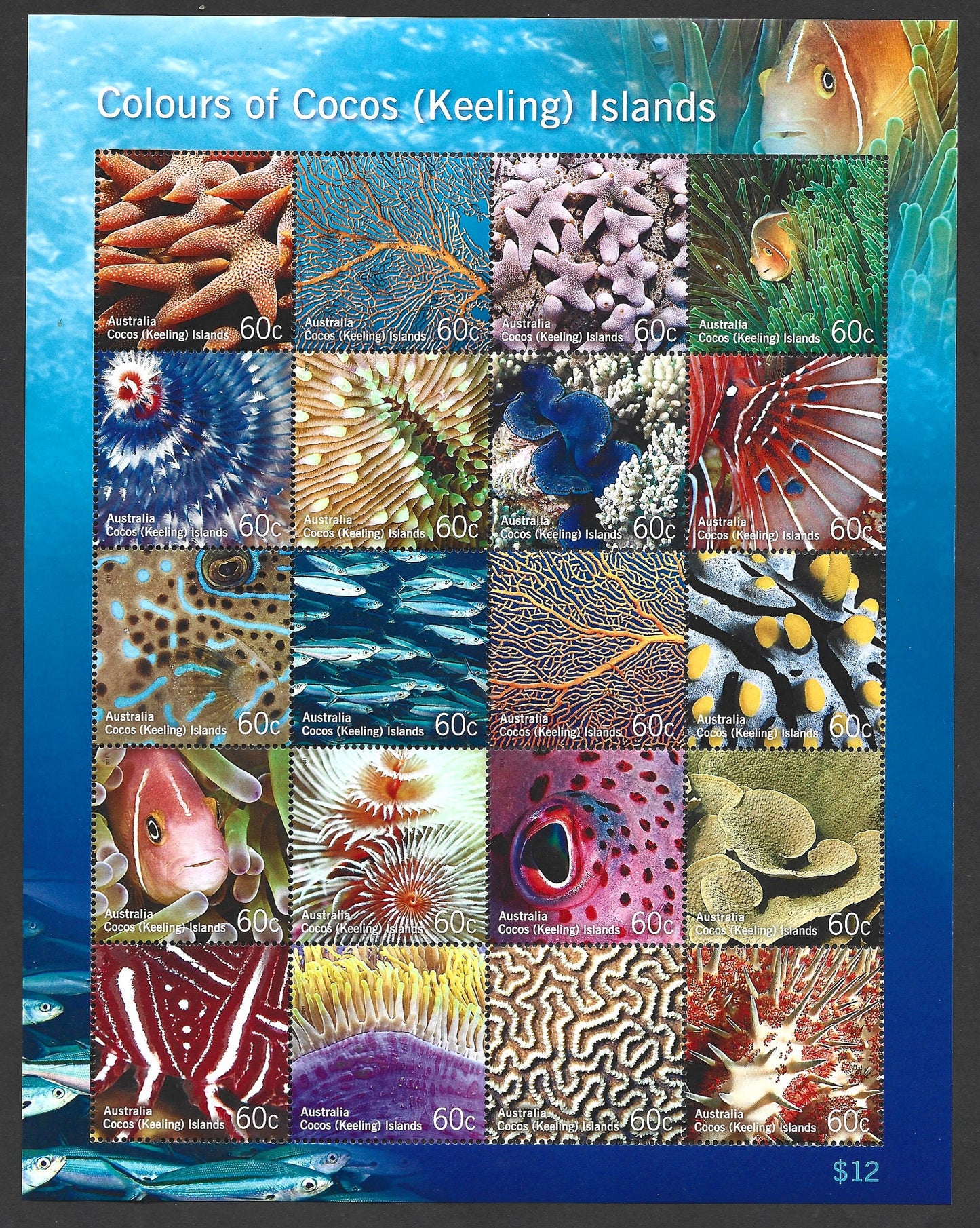 COCOS (KEELING) ISLANDS Colours of Cocos (Keeling) Islands (marine life) 2011