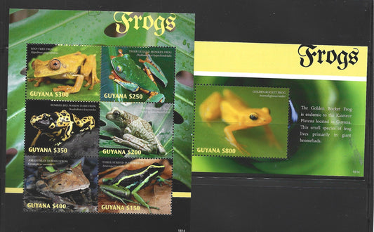 GUYANA  TROPICAL FROGS  2018