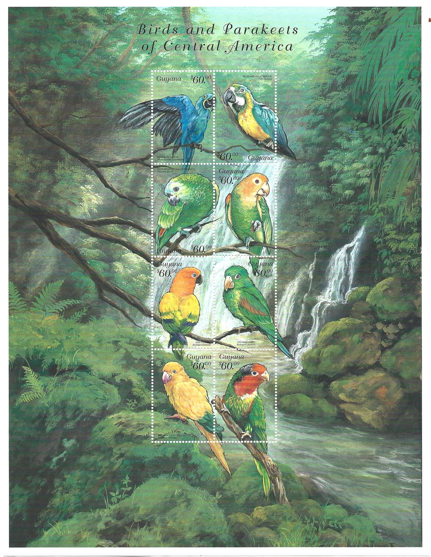 GUYANA  1999  PARROTS of CENTRAL AMERICA   Picture Frame Quality