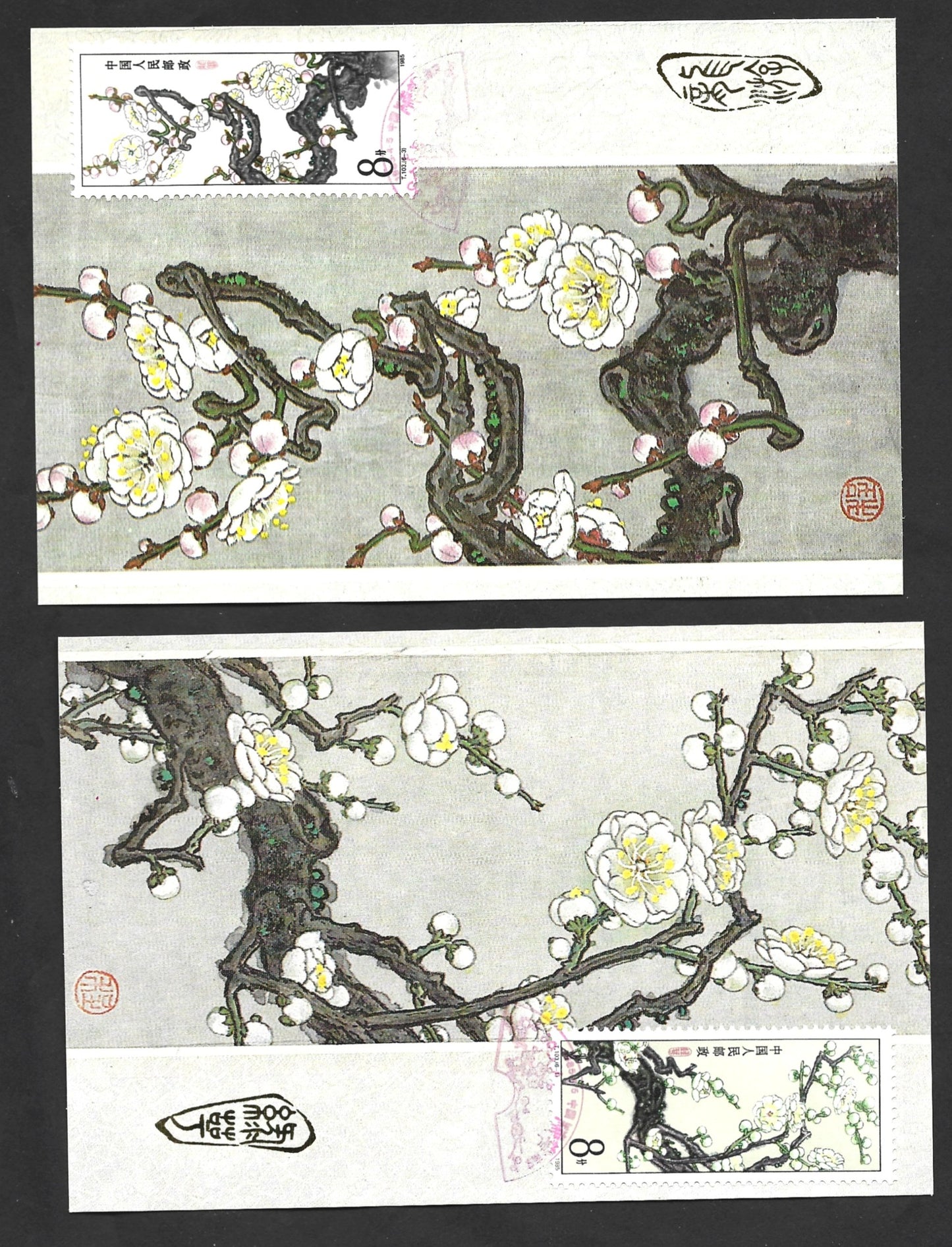 CHINA Apricot, Plum Blossom 6 Maxim Cards with folder