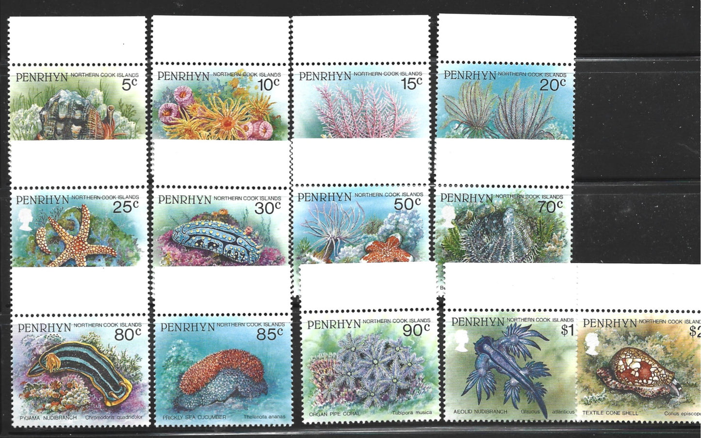 PENRHYN   MARINE INVERTEBRATES OF THE PACIFIC