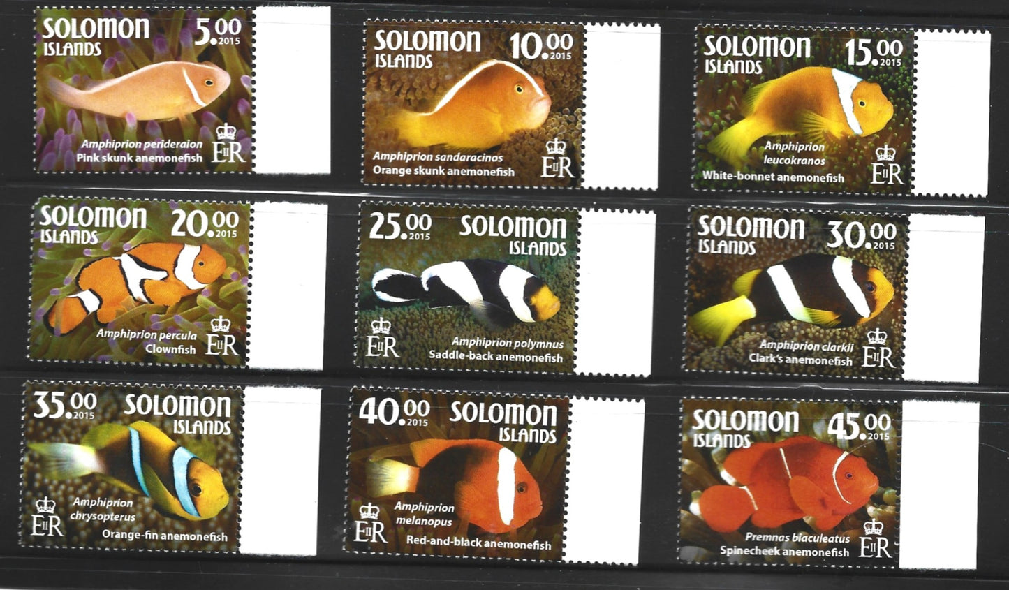 SOLOMON ISLANDS   ANEMONE FISH SET  2015