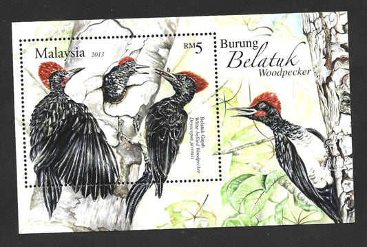 MALAYSIA 2013 WOODPECKERS