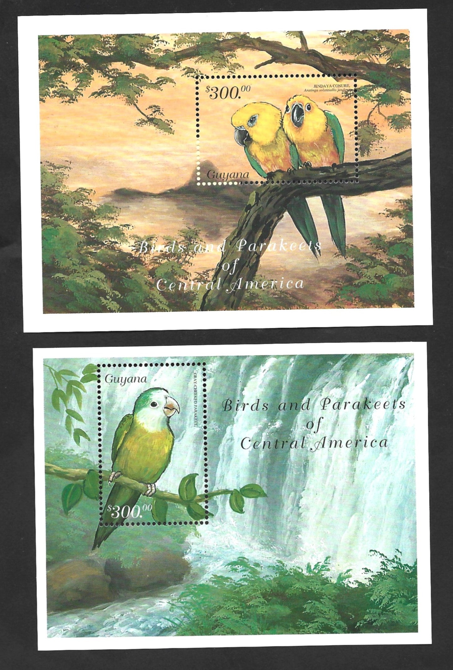 GUYANA  1999  PARROTS of CENTRAL AMERICA   Picture Frame Quality